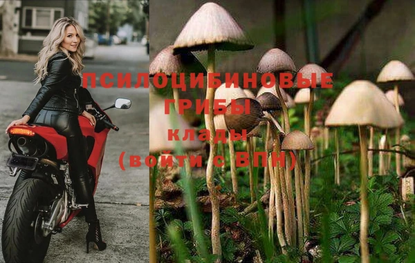 соль ск Карпинск