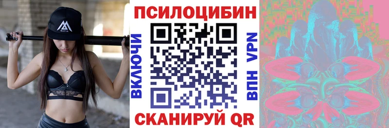 Купить  Котовск  Галлюциногенные грибы GOLDEN TEACHER 